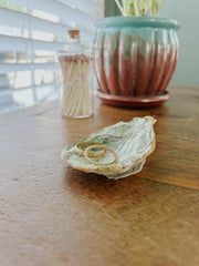 Oyster Shell Trinket Dish - Monstera