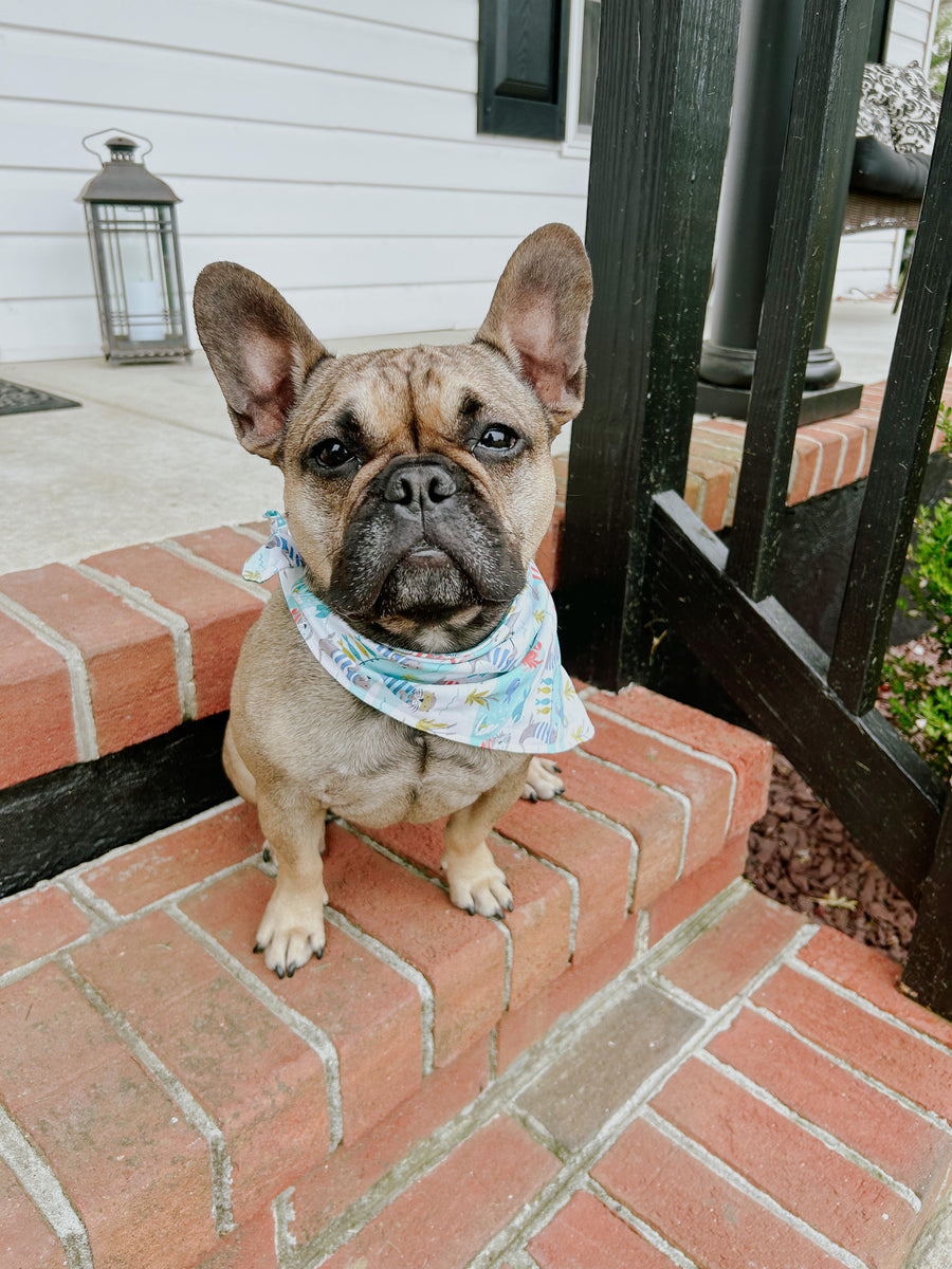 Otterly Obbessed Reversible Bandana