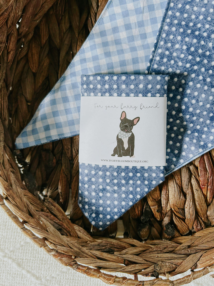 Blue Polka Dot & Blue Plaid Reversible Bandana