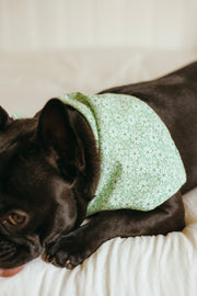 Green Daisy & Polka Dot Reversible Bandana