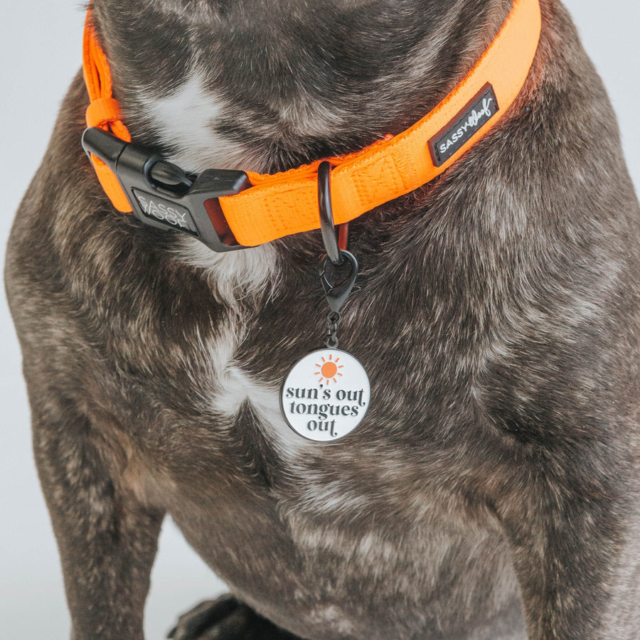 Sun's out Tongues out Dog Collar Tag